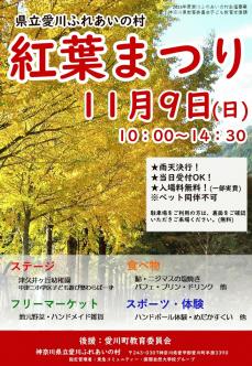 紅葉まつりチラシ.jpg