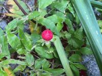 20250514-4.jpg
