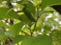 IMG_5475.jpeg