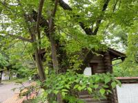 IMG_5476.jpeg