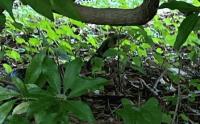 IMG_5743.jpeg