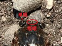 20250804-3.jpg