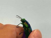 20250813-4.jpg