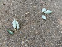20250819-1.jpg
