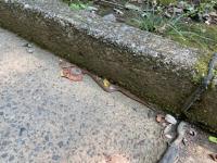 20250922-2.jpg